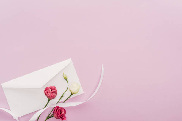 istock top view of flowers and envelope isolated on pink with copy space 1125831136
