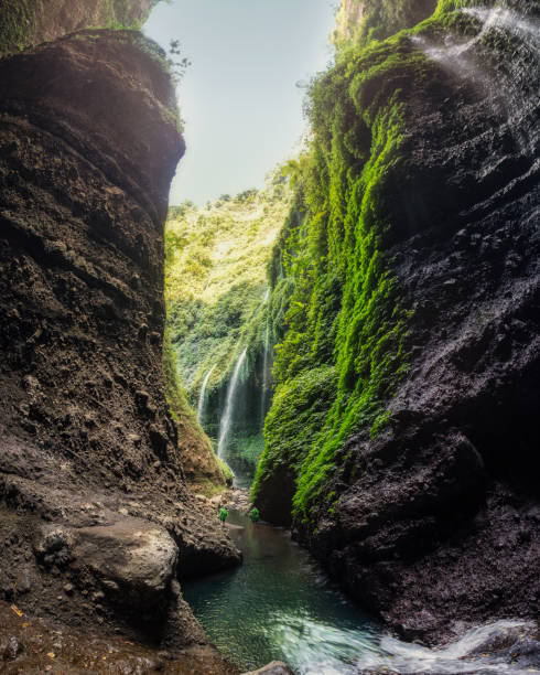 istock Beautiful Madakaripura waterfall in rocky valley 1125831204