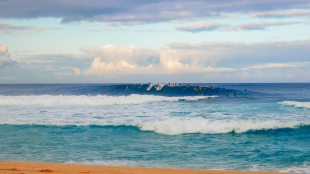 surferzy łapią fale podczas porannej sesji w rurociągu - north shore zdjęcia i obrazy z banku zdjęć