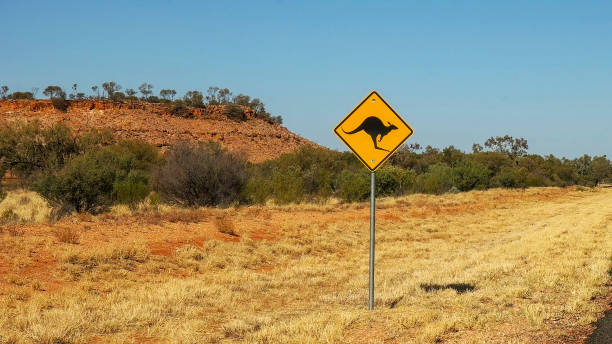 istock kangaroo road sign in the northern territory 1125834206