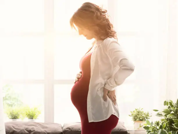 Young happy pregnant mother posing next to a window at home and touching her belly