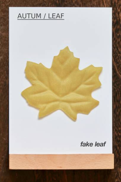 leaf.fake leaf.AUTUM / LEAF leaf.fake leaf.AUTUM / LEAF. birch gold group review rankings stock pictures, royalty-free photos & images