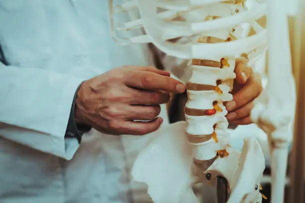 Doctor is Working in Office. Doctor is Old Caucasian Man. Person is Wearing White Robe. Man is Holding and Showing Vertebrae on Skeleton. Closeup View of Vertebrae on Skeleton. Daytime.