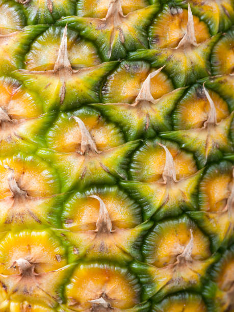 istock closeup of pineapple 1125846759
