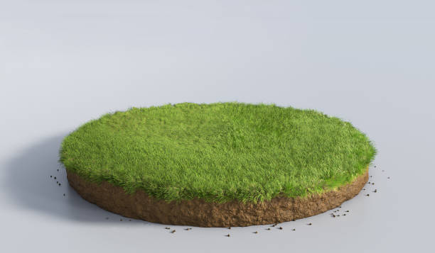 istock 3D Illustration round soil ground cross section with earth land and green grass 1125847341