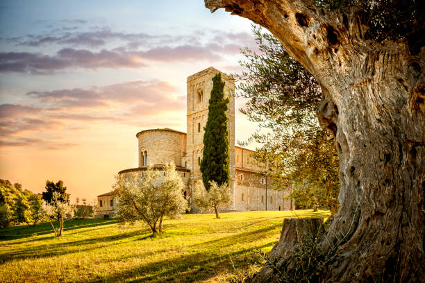 abbey of sant'antimo in montalcino, tuscany, italy - montalcino imagens e fotografias de stock