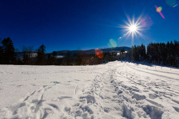 istock Winter trekking Beskidy mountains Rysianka 1125854068