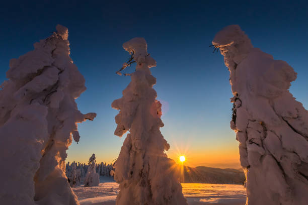 istock Winter trekking Beskidy mountains Rysianka 1125854117