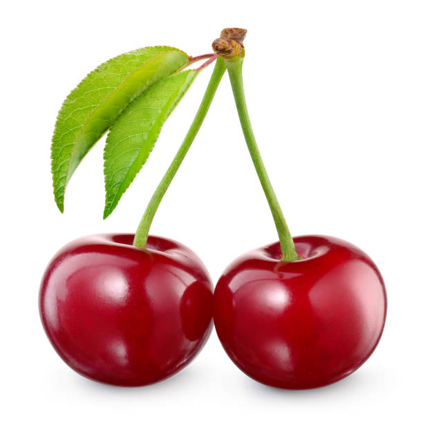 istock Cherries isolated. Cherry on white background. With clipping path. 1125854132