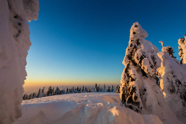 istock Winter trekking Beskidy mountains Rysianka 1125854818