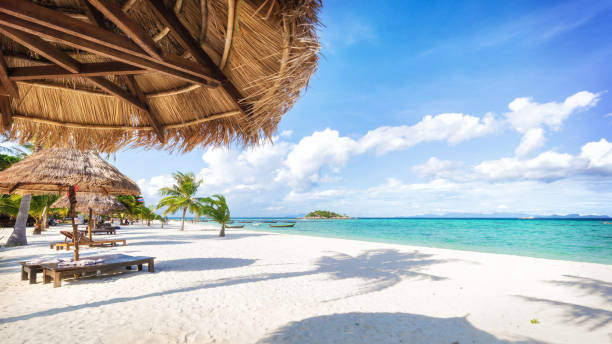Asian tropical beach paradise in Thailand Empty sunny Koh Lipe island Beach with tall palms and beach bungalows chaise longue photos stock pictures, royalty-free photos & images
