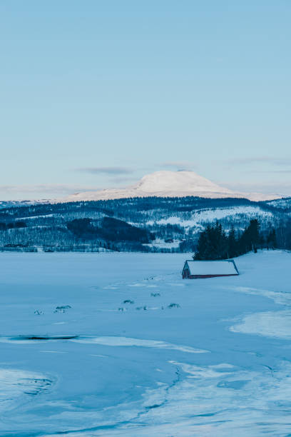 ノルウェーは冬に北ノルウェーのフィヨルドの海岸に投げかけています。 - snow horizon winter shed ストックフォトと画像