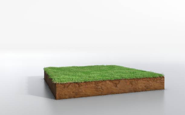 istock cubical soil land geology cross section with green grass 1125856937