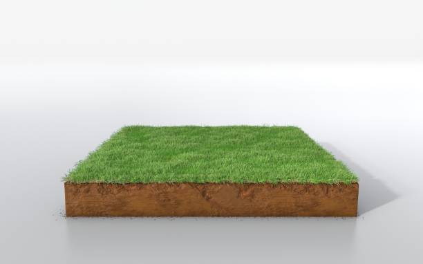 istock cubical soil land geology cross section with green grass 1125856939