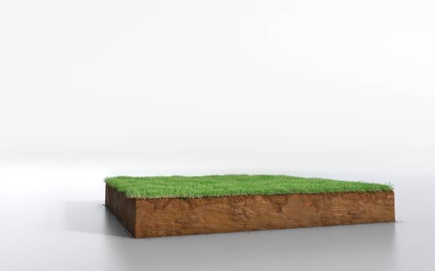 istock cubical soil land geology cross section with green grass 1125856947