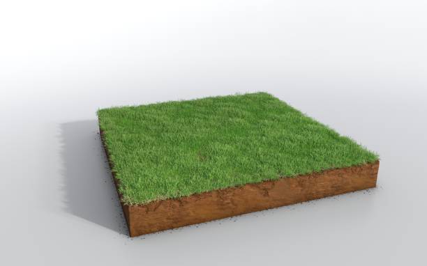 istock cubical soil land geology cross section with green grass 1125856948