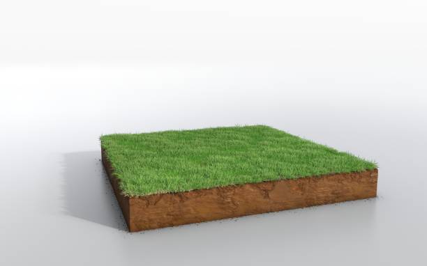 istock cubical soil land geology cross section with green grass 1125856950