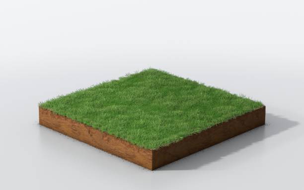 istock cubical soil land geology cross section with green grass 1125856955