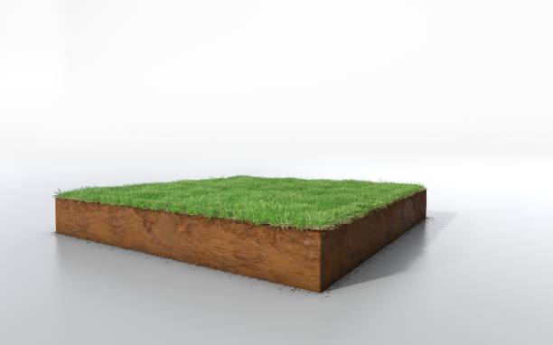 istock cubical soil land geology cross section with green grass 1125856958