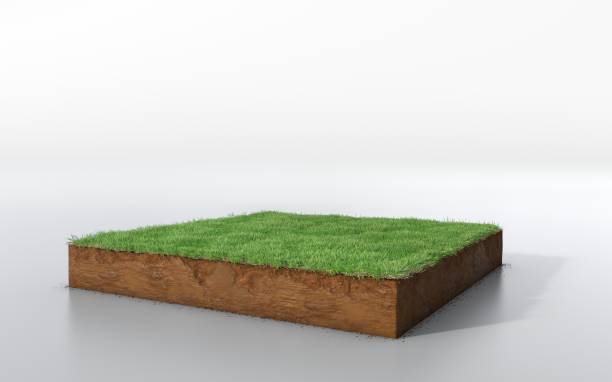 istock cubical soil land geology cross section with green grass 1125856961
