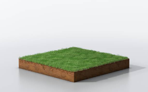 istock cubical soil land geology cross section with green grass 1125856962
