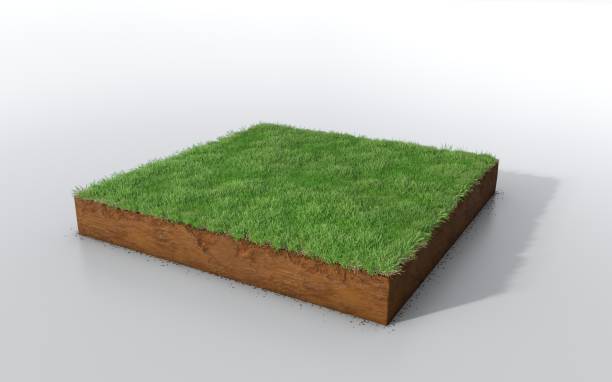 istock cubical soil land geology cross section with green grass 1125856963