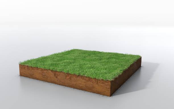 istock cubical soil land geology cross section with green grass 1125856966
