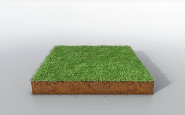 istock cubical soil land geology cross section with green grass 1125856971
