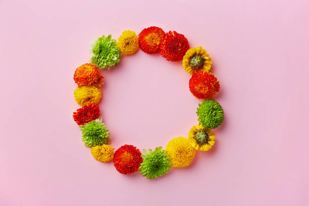 istock Colorful flower wreath on a pink background viewed from above. Top view. 1125857019