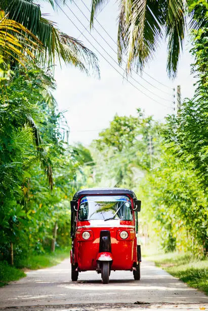 Red tuk-tuk under the palm trees on the country road