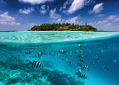 Split view in the Maldives islands