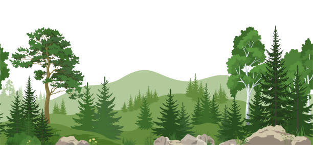 Seamless Landscape with Trees Seamless Horizontal Summer Mountain Landscape with Pine, Birch and Fir Trees, Green Grass on the Rocks. Vector background of woodland stock illustrations