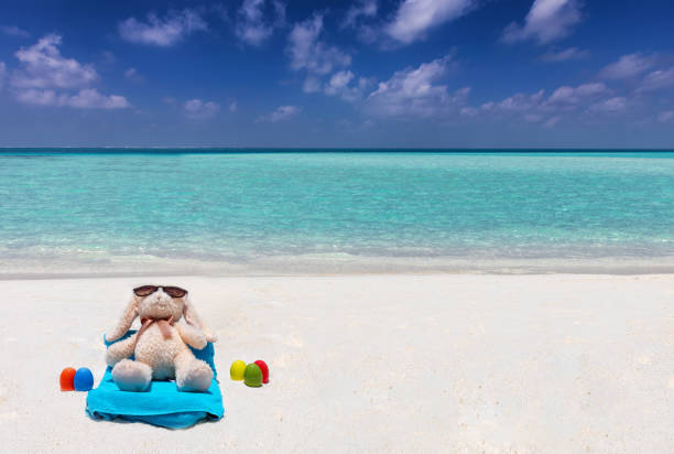 Concept of a Easter bunny on a tropical beach