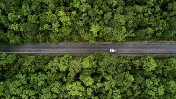 istock Road through the green forest, aerial view road going through forest. 1125863152