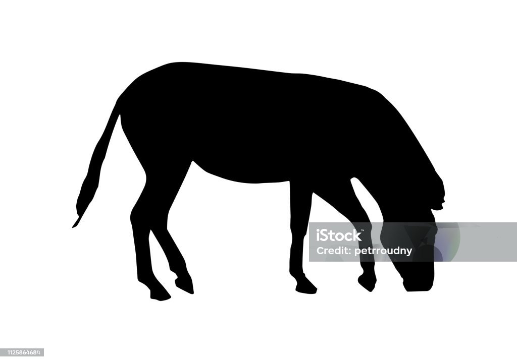 Vector zebra black silhouette Vector black simple silhouette of a zebra ungulate wild animal isolated on a white background. Africa stock vector