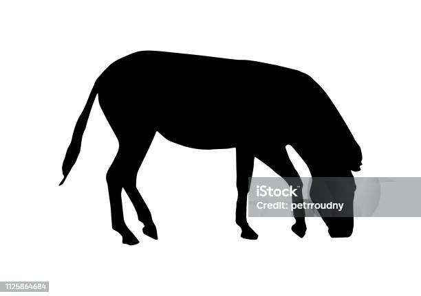 Vector Zebra Black Silhouette Stock Illustration - Download Image Now - Africa, Animal, Animal Body