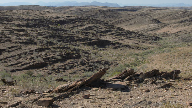 istock Large African plains. Dry cracked ground and sharp rocks 1125866215