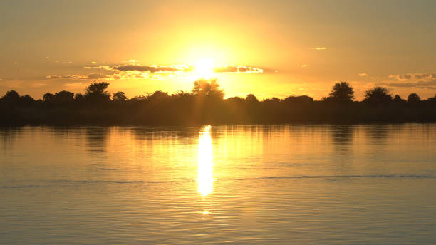 istock Sunset lake. Shore covered with trees and bush 1125866592