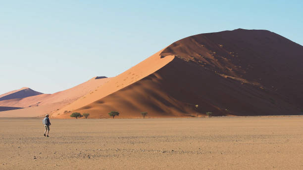 istock Magic hour at Namibian sandy dunes. Traveler exploring wilderness 1125867048