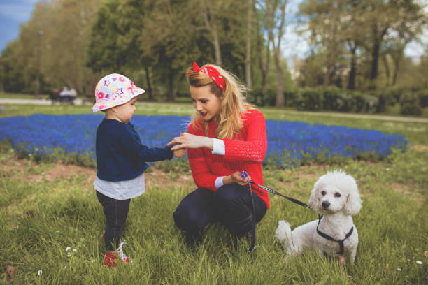 istock Young mother and child playing in park with dog 1125868085