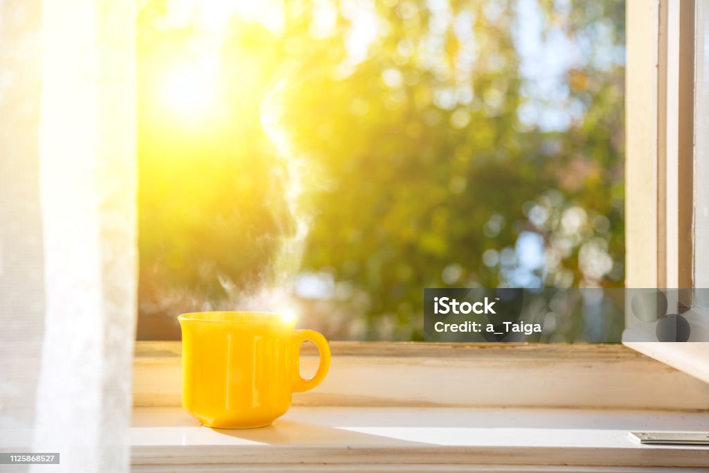 Cup on the window with sun and defocused nature background Good morning! Cup on the window with sun and defocused nature background Morning Stock Photo