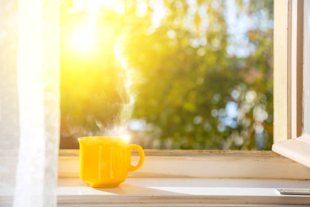 cup on the window with sun and defocused nature background - morning imagens e fotografias de stock