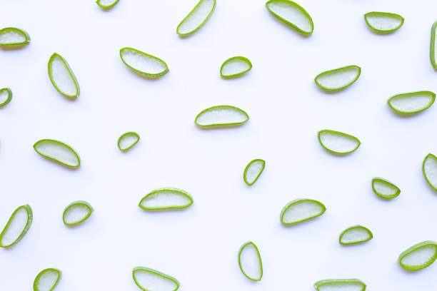 istock Aloe vera slices on white background. 1125868600