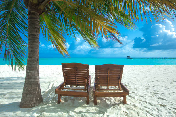 istock tropical Maldives island with white sandy beach and sea 1125869068