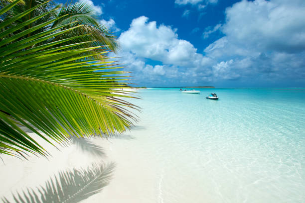 istock tropical Maldives island with white sandy beach and sea 1125869088