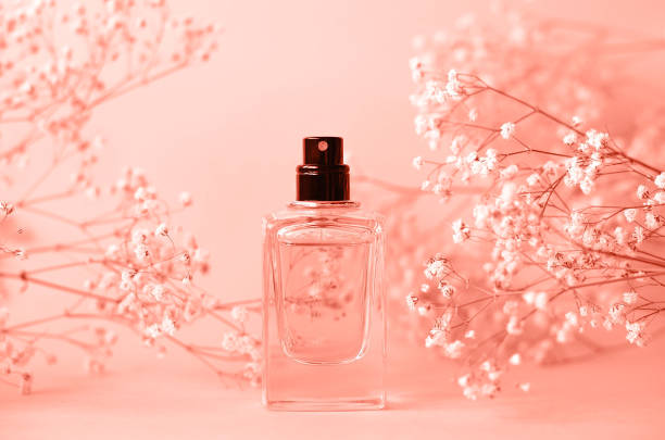 A jar of perfume without a cap with a sprig of gypsophila. A jar of perfume without a cap with a sprig of gypsophila coral color.  Coral color is the fashionable color of the year. perfume counter stock pictures, royalty-free photos & images