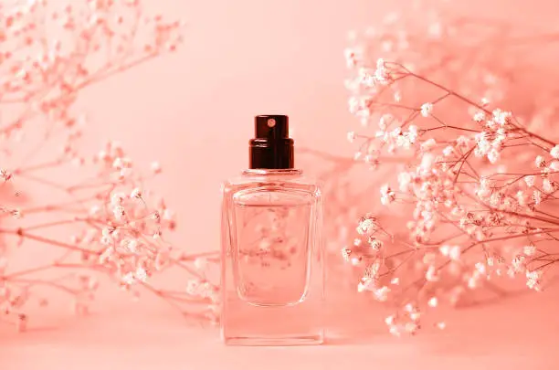 Photo of A jar of perfume without a cap with a sprig of gypsophila.