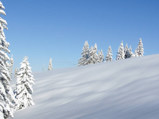 Austrian Snowscape stock photo