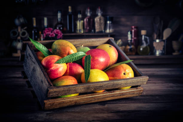 Tropical fruits: Wooden crate with assorted mangos in rustic kitchen. Natural lighting