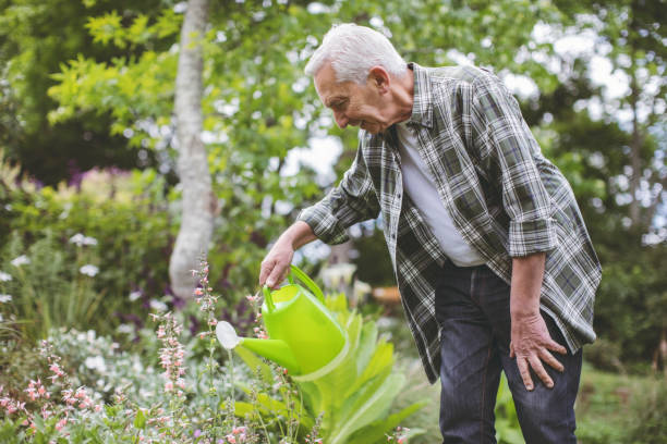 istock Retired senior male watering plants in back yard 1125875050